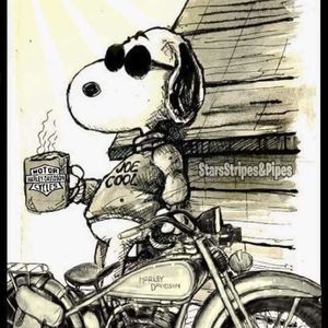 Meet your Posher, Mark